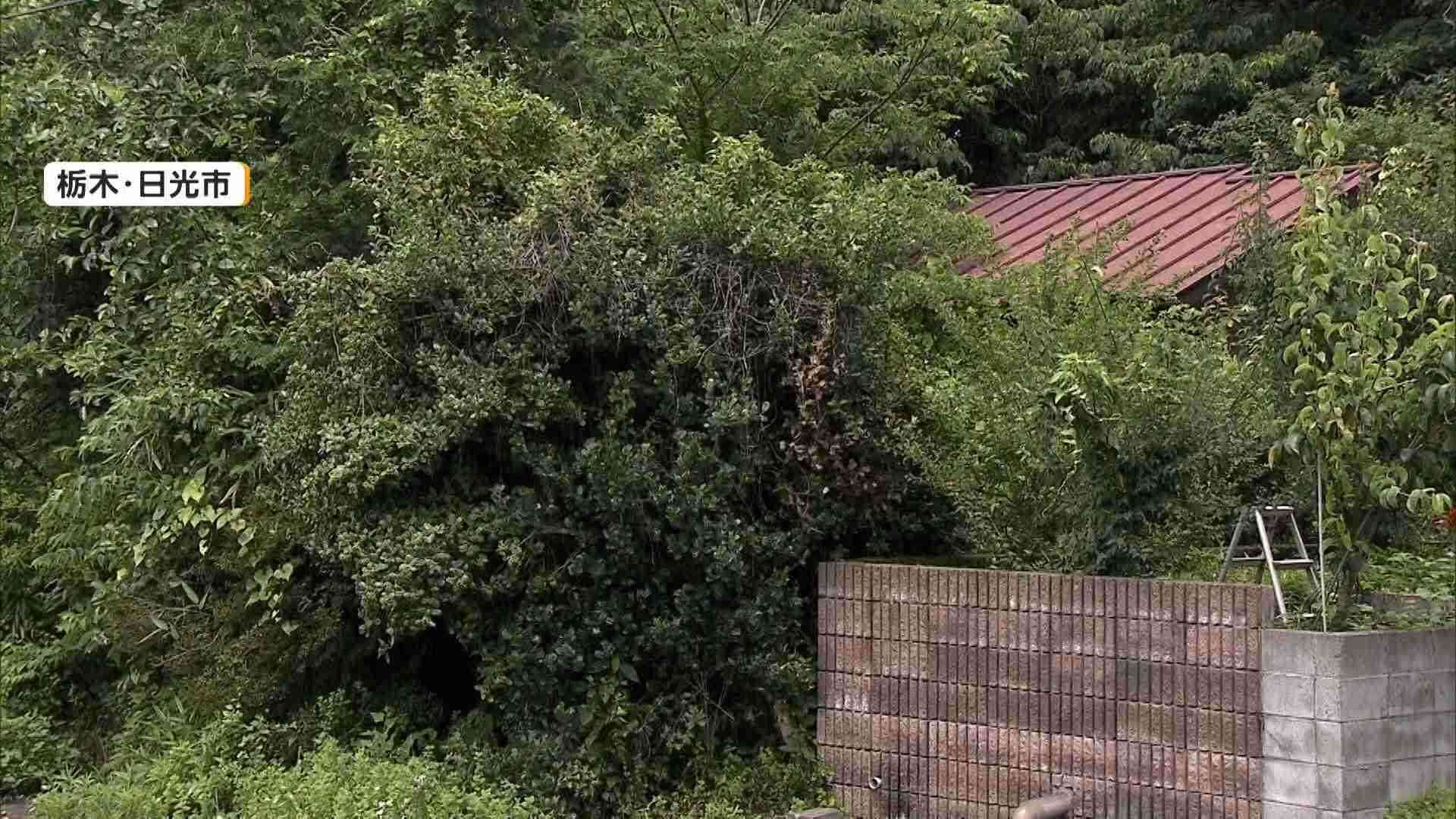 白骨化した遺体放置…“ゴミ屋敷”の住人（56）逮捕　「親子と数年連絡取れない」親族の通報で発覚　栃木・日光市