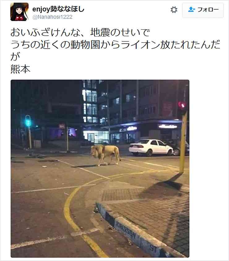 熊本地震「動物園からライオンが放たれた」　投稿の男性、不起訴処分