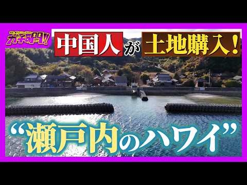 【買われる日本】上海在住の中国人が土地購入！定住者たった1人の“瀬戸内のハワイ”　「外国人による土地取得」で揺れる日本の現状【ガチの門】