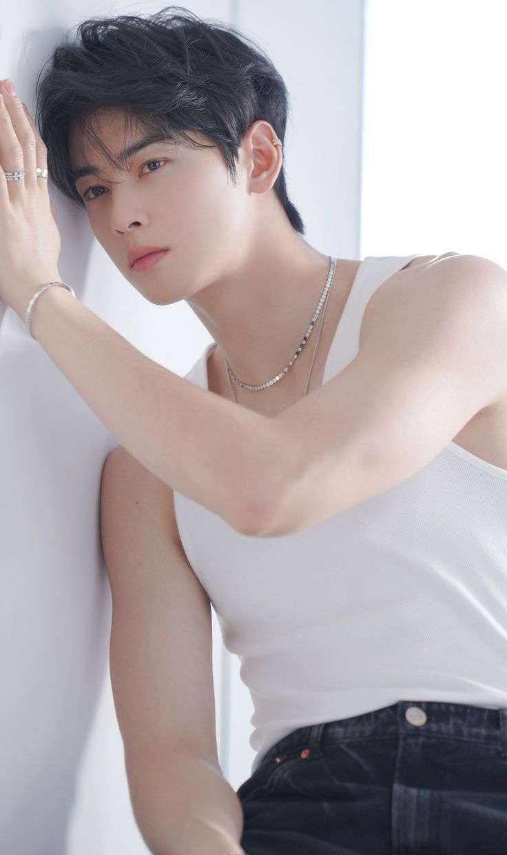 Pin on Cha Eun Woo  차은우