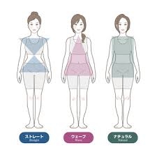 同身長同骨格の有名人