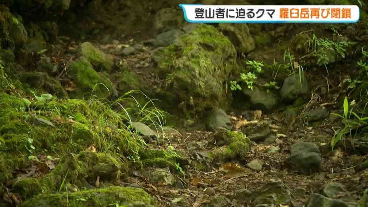 【クマ出没】登山者の男性に向かってくるクマ、撃退スプレー噴射で逃亡　去年26歳男性が襲われ死亡した羅臼岳　すべての登山道を緊急閉鎖　北海道知床半島 | 北海道のニュース｜HBC北海道放送