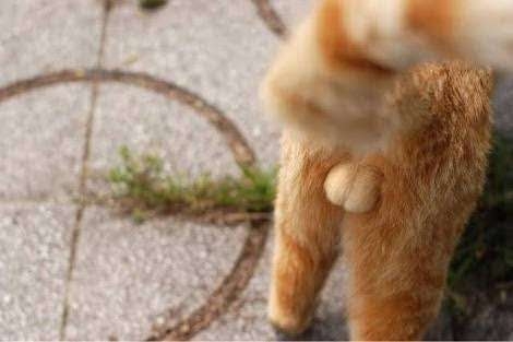 推しがBLドラマに出る