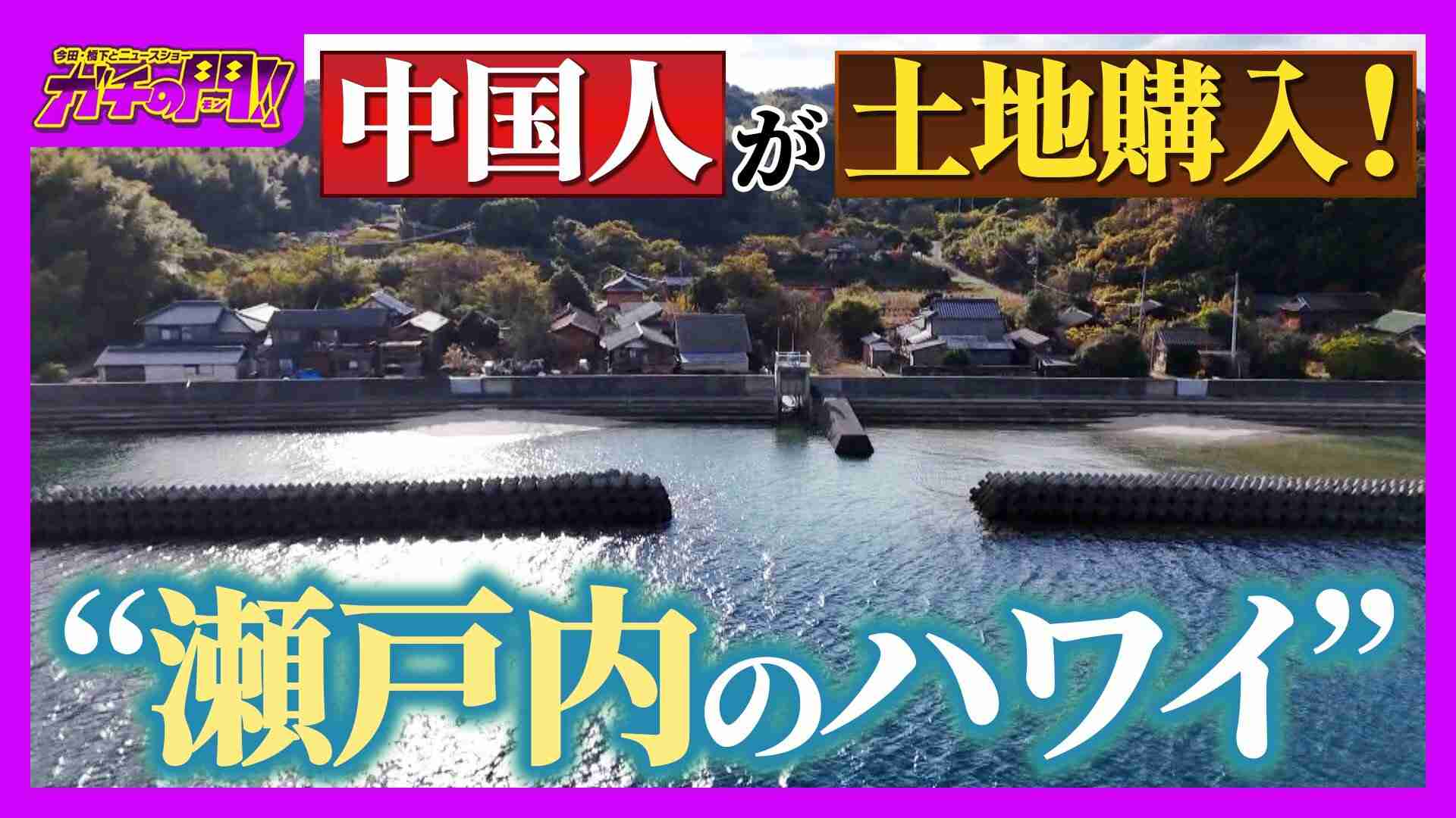 【買われる日本】上海在住の中国人が土地購入!定住者たった1人の“瀬戸内のハワイ”　「外国人による土地取得」で揺れる日本の現状【ガチの門】（MBSニュース） - Yahoo!ニュース