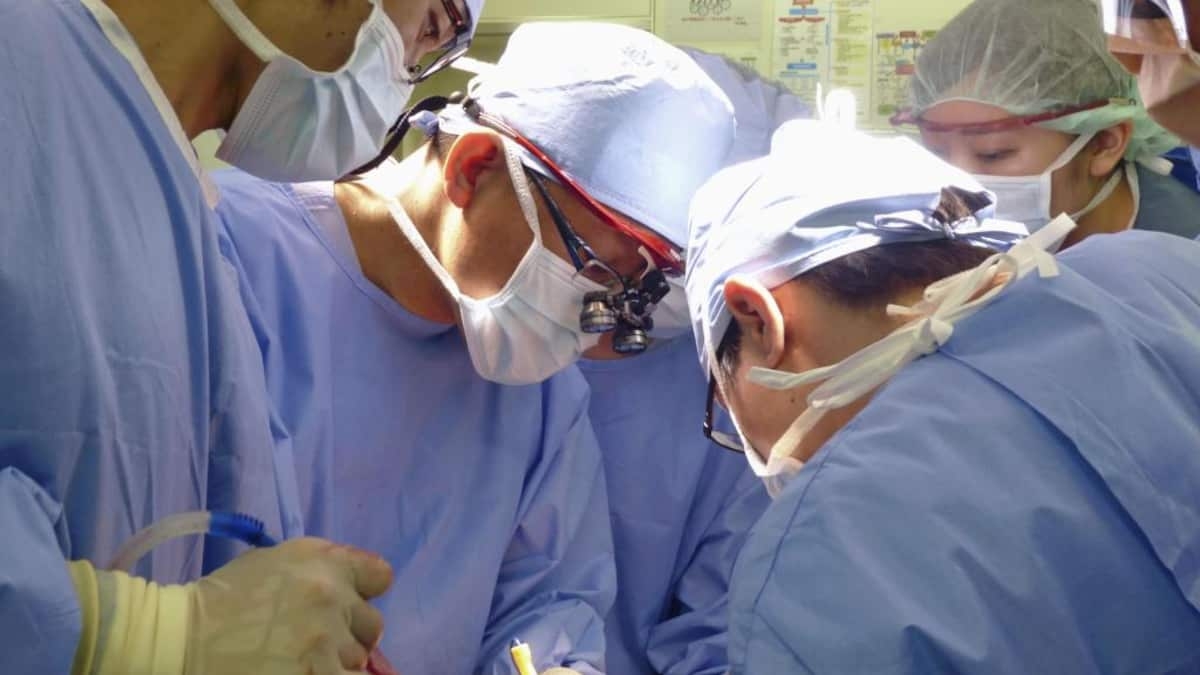 【医療新世紀】進行がんも手術可能に　分子標的薬など新しい治療薬が奏功、縮小で切除に「転換」膵臓や胃で成果報告も（1/2ページ） - zakⅡ