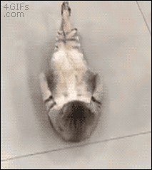 体力をつける体力がない