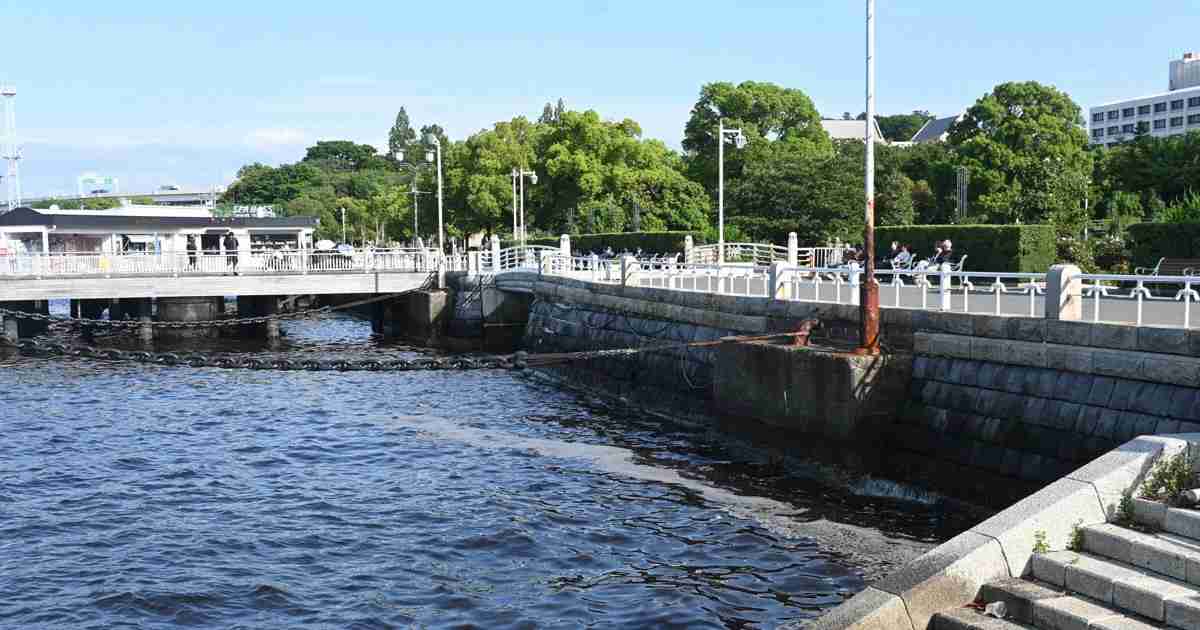 横浜港の遺体は45歳女性　上半身のみで頭部なく　切断、遺棄か | 毎日新聞