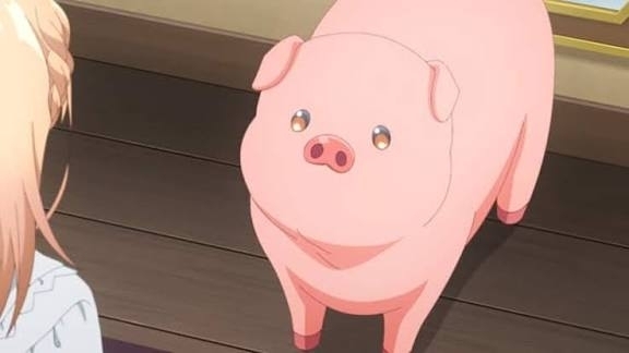 肉屋を支持する豚だなぁと思う事