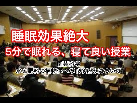 【眠れない時に】すぐ眠れる！寝ても良い授業！？植物生態学講義【睡眠導入用】