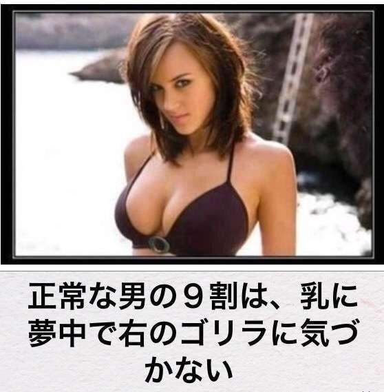 男って馬鹿だな～と思う瞬間