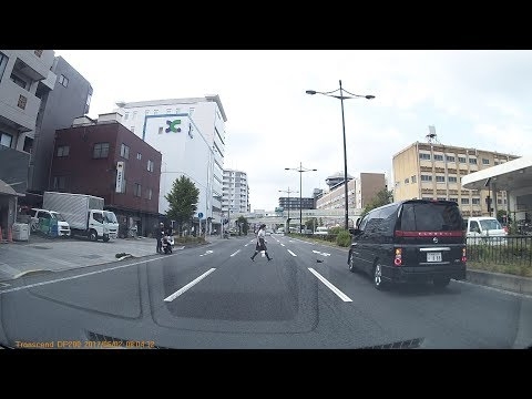 京都駅付近で女子高生がネコを助ける 2017/6/2