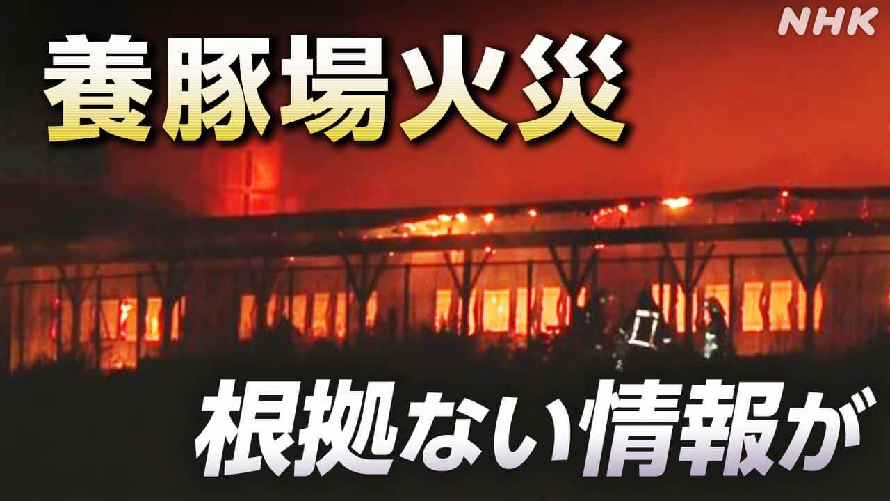 養豚場や神社・寺院の火災 “イスラム教徒が?” 根拠ない情報がSNSで拡散 外国人への差別的投稿も… 何が? | NHKニュース | フェイク対策、デジタル深掘り、深掘りコンテンツ