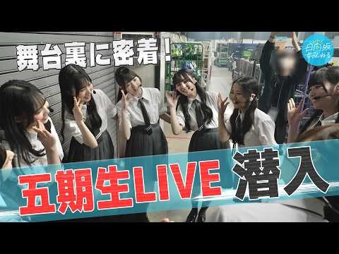 【ほっこり】五期生LIVEにメンバーカメラが潜入！表も裏も全部見せます！【4K画質】