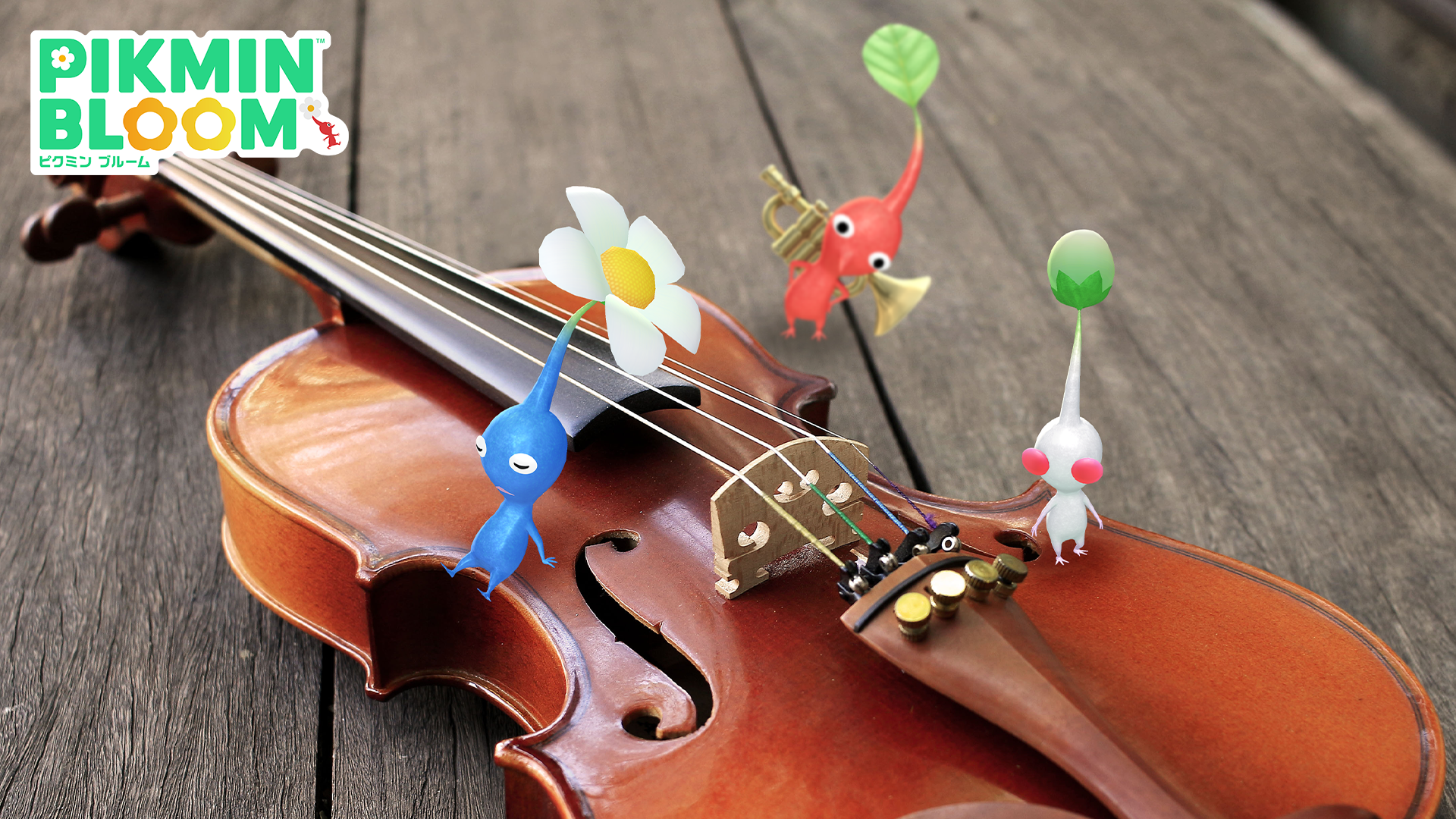 Pikmin Bloom(ピクミンブルーム)ピクミンとおでかけしよう🌺Part.32🌺