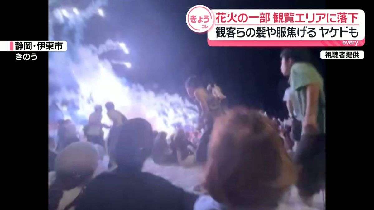 花火大会で花火の一部が観覧エリアに落下　観客らの髪や服焦げる…やけども　静岡・伊東市（2026年8月11日掲載）｜日テレNEWS NNN