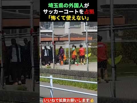 埼玉県のサッカーコートを外国人が占拠…地元少年｢怖くて使えない｣