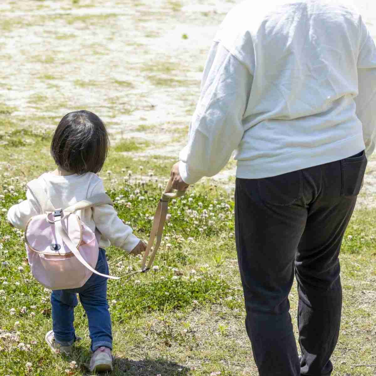 「犬じゃないんだから」2歳息子にハーネス使用への心ない言葉→間違っている？【専門家に聞いた】｜よろず〜ニュース