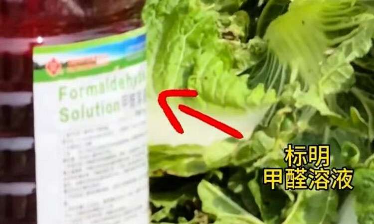 中国産白菜、「遺体保存剤」として使われる発がん性物質まみれ…韓国で中国産キムチ輸入量が過去最大（朝鮮日報日本語版） - Yahoo!ニュース