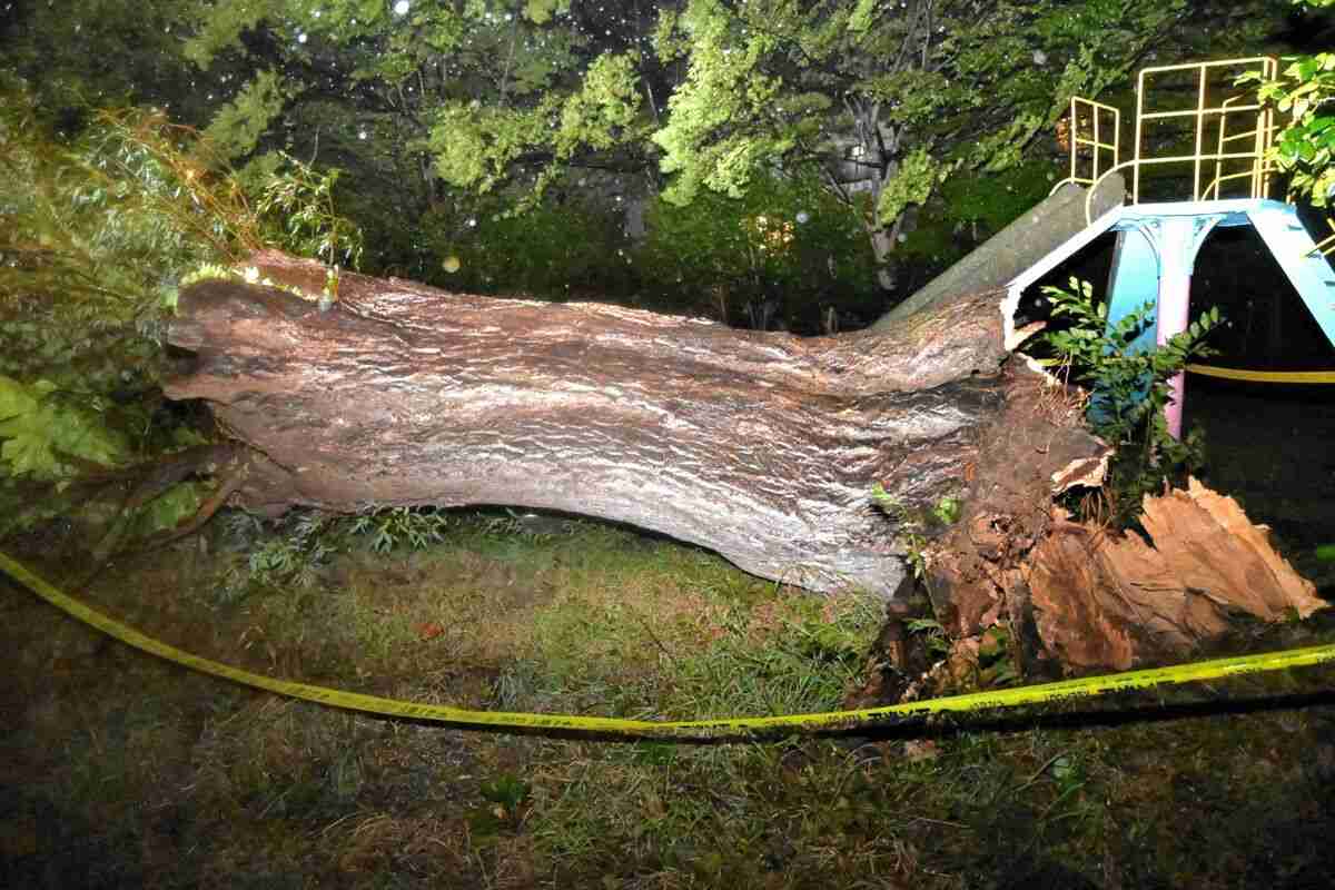 ＜速報＞台風15号接近　いわきで被害相次ぐ　公園で倒木　海水浴場の監視塔倒壊（福島民報） - Yahoo!ニュース