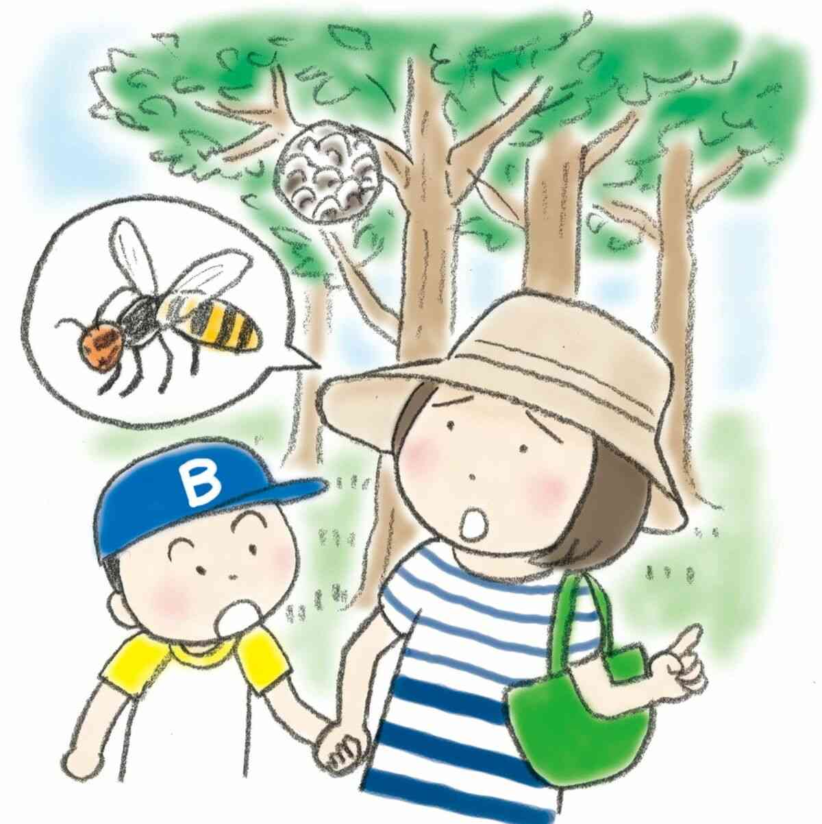 野外活動「ハチ」にご用心 刺激厳禁　もし刺されたら素早く処置を｜PICKUPニュース｜徳島新聞デジタル
