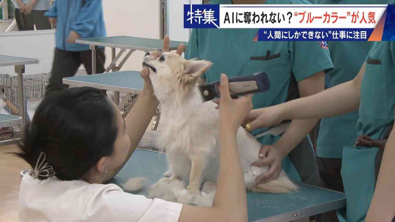 17年で日当約4倍 今や年収1000万円超も… 「とび職」 AIに“仕事を奪われない”ブルーカラーが人気