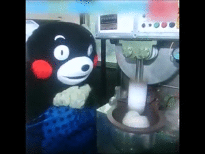 最近熊の被害を聞かないね