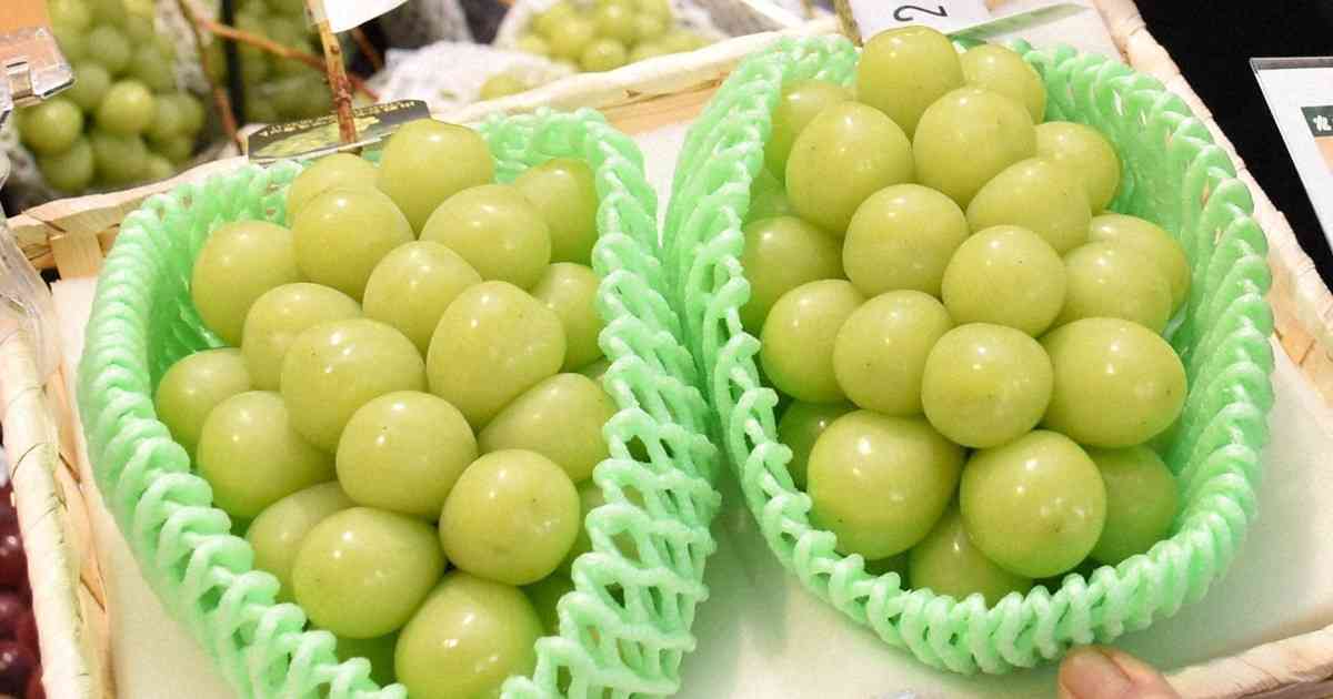 シャインマスカット400房が盗難被害　栃木・佐野の果樹園 | 毎日新聞