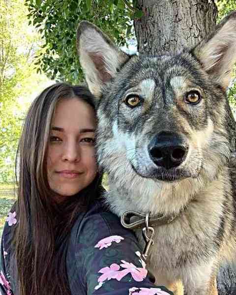 犬飼うなら何犬を飼いたい?