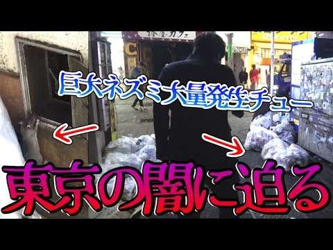 【大問題】今、東京がやばい…巨大なネズミが大量発生で大変な事に…