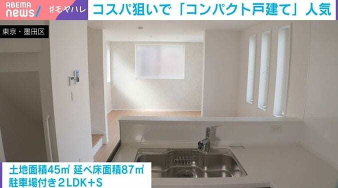 「家が狭いから」少子化の背景に住宅事情…都内5000万円台“コンパクト戸建て”にファミリー層殺到のワケ 教育×地価の関係を慶大教授が解説