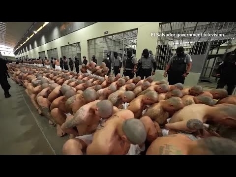 まるでタトゥーの海、南米エルサルバドルが4万人収容可能な「メガ刑務所」開設