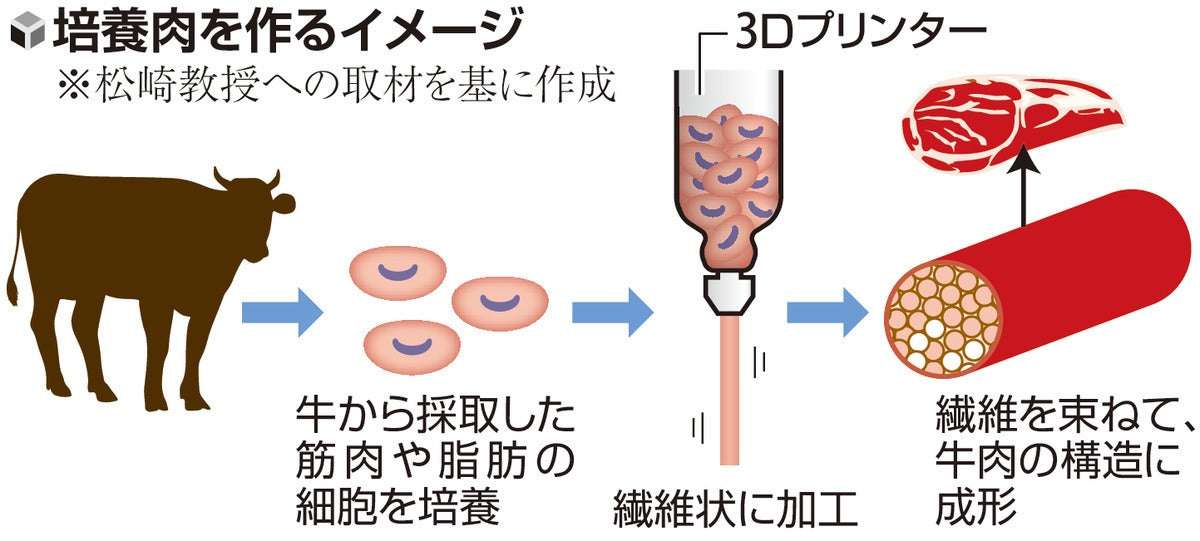 「牛の培養肉」来年1月にも試験生産開始へ、「本物に近い形状」生産ラインは世界初…大阪大など共同事業体
