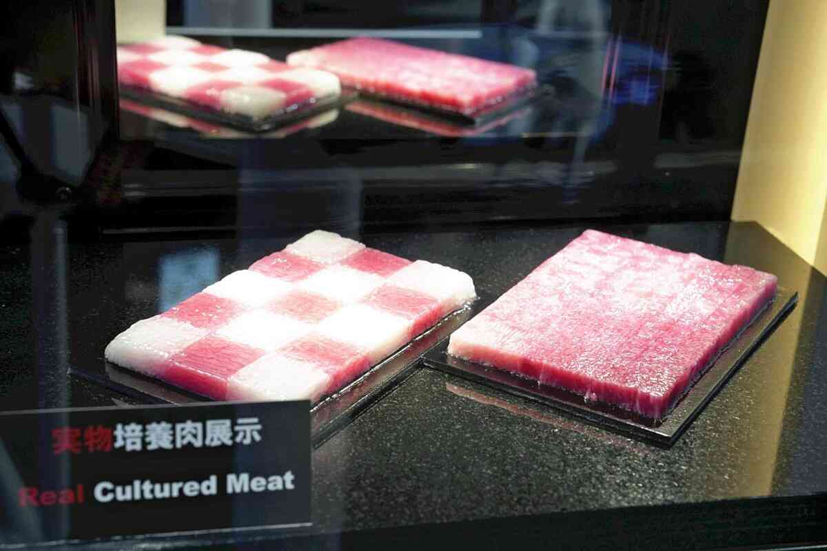 「牛の培養肉」来年1月にも試験生産開始へ、「本物に近い形状」生産ラインは世界初…大阪大など共同事業体