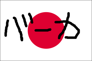 国旗損壊、難しい取り締まり 「やってもやらなくても批判」 通達ににじむ苦慮・警察当局
