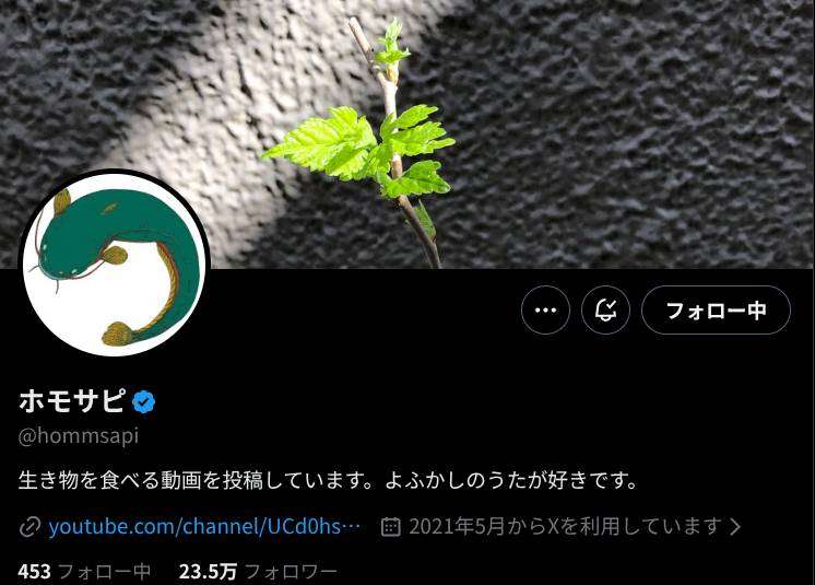登録者223万人 生き物系YouTuber「ホモサピ」が離婚を報告 - YouTubeニュース | ユーチュラ