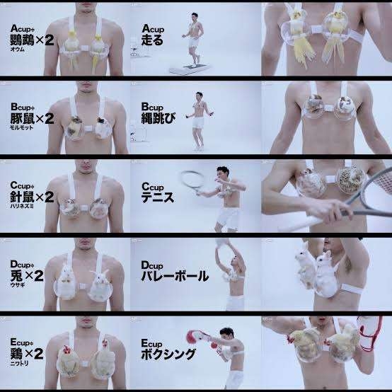 ワコールが好きな方