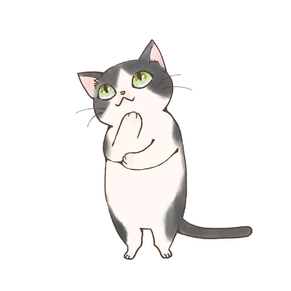 猫好きな人へプレゼント