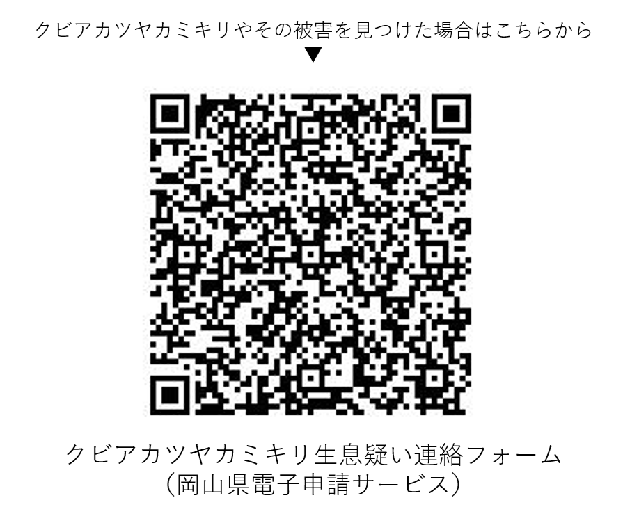 【画像注意】岡山県が注意喚起「見つけたら報告を」県内で初確認、サクラやモモを食い荒らす“外来生物”に「初めて知った」