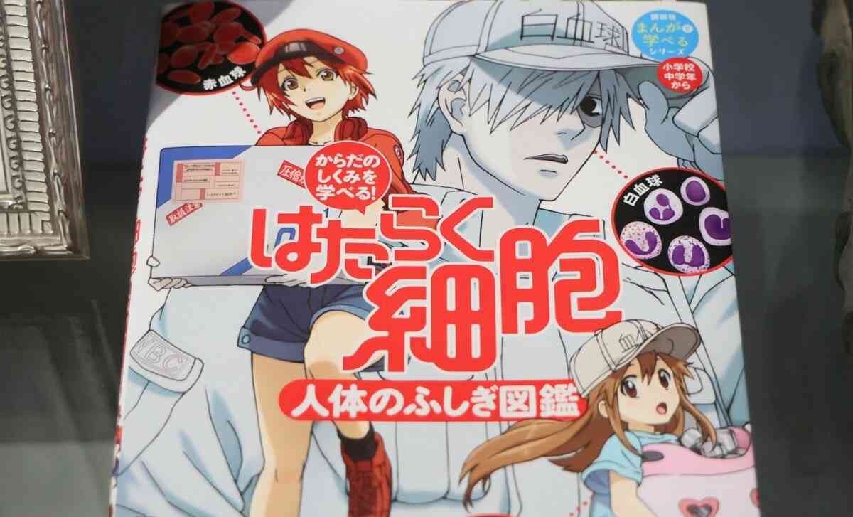 「はたらく細胞」作者告発で露呈した「大手出版社」編集者と漫画家の“いびつな権力勾配”　 | AERA DIGITAL（アエラデジタル）