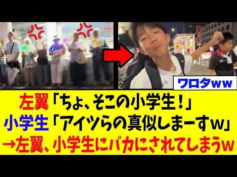 【衝撃】左翼活動家さん、小学生に盛大に煽られてしまうｗｗｗ