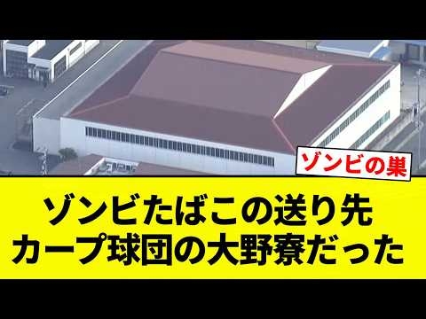 【ゾンビのアジトや】ゾンビたばこの送り先 カープ球団の大野寮だった【プロ野球反応集】【2chスレ】【なんG】
