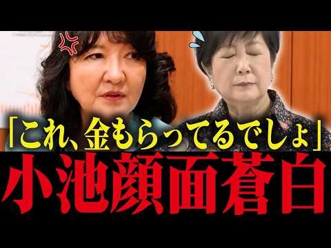【小池百合子】片山さつきが小池の利権政策を暴露！インチキ政策がバレて小池大焦り【小池都知事 さとうさおり 都議会 カイロ大学 学歴詐称疑惑】