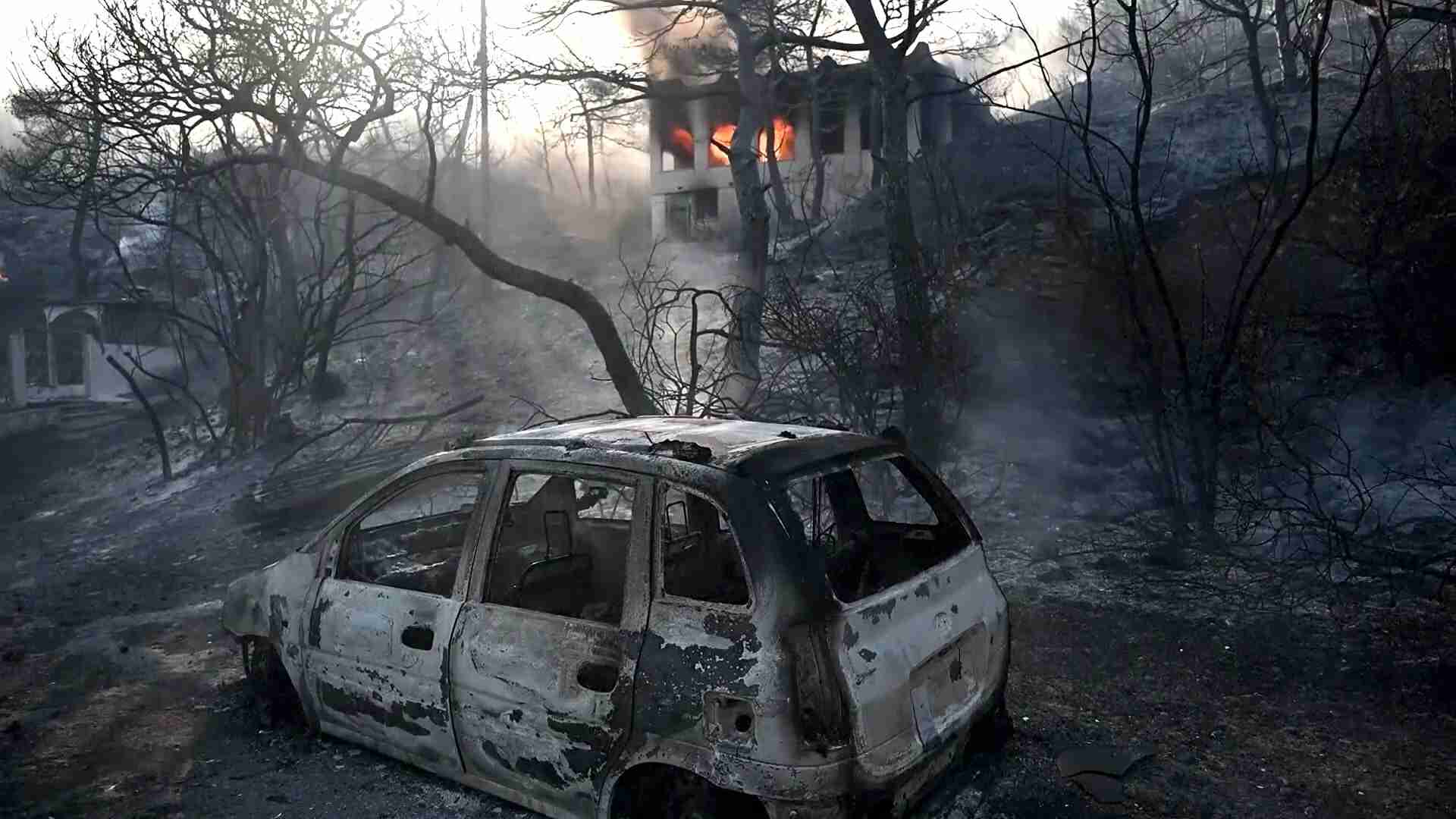 ギリシャで大規模な山火事が発生　アテネ西方の島で2人死亡 （AP通信） - Yahoo!ニュース