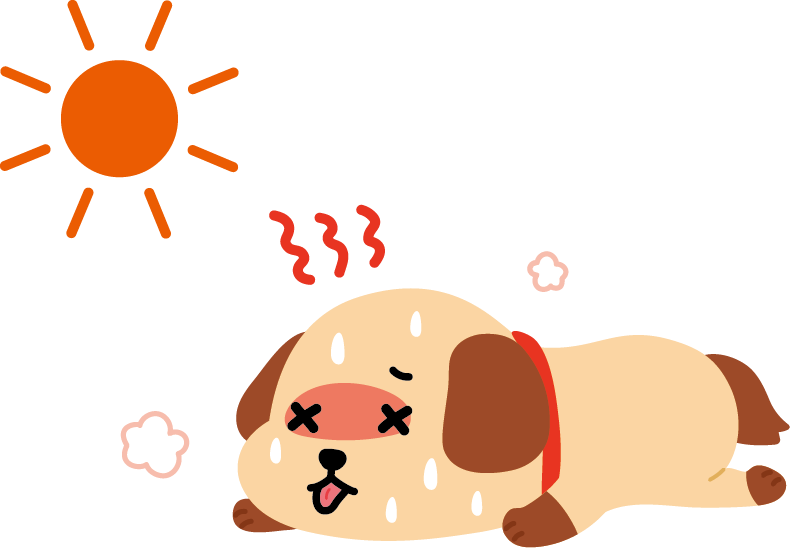 炎天下の中に繋がれている犬が発端で夫と険悪になっています。
