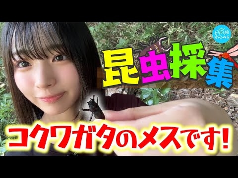 【自由研究】生き物大好き大野愛実が虫採りに行ってみた！【石神井公園】