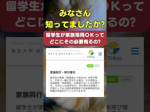留学生に家族帯同って必要あるの?