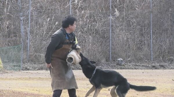 「鼻は小型犬の方がいい気がする」知っているようで知らない警察犬のイマ　全国で9割近くが嘱託の民間犬
