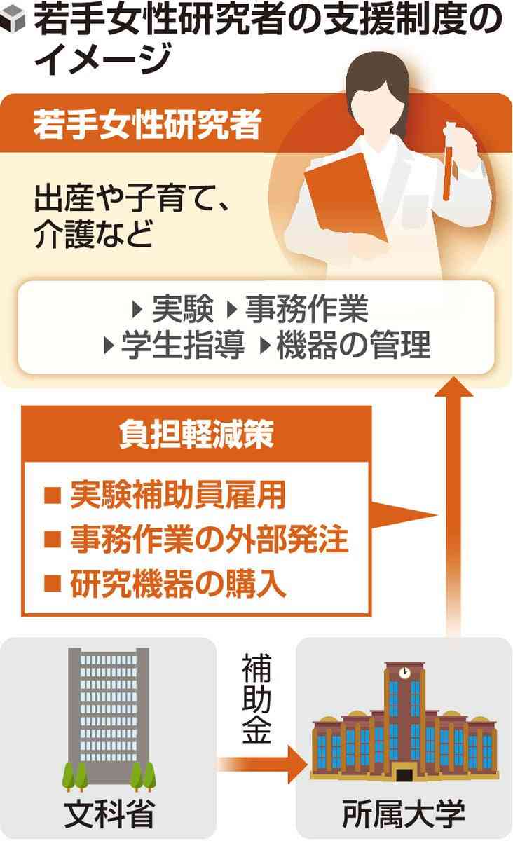 女性研究者支援に補助、1大学に年間5000万円…出産・子育と両立できる環境整備し研究力底上げ