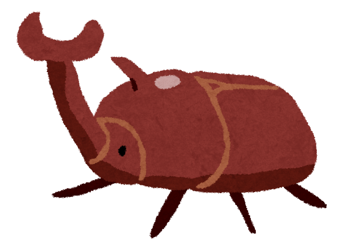 カブトムシいらん