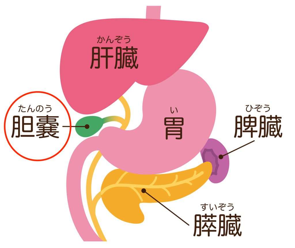 胆嚢取った方！